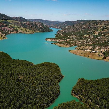 ホテル Relais De Tahla Aïn Bou Mahdi エクステリア 写真