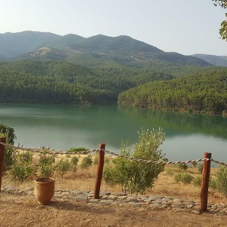 ホテル Relais De Tahla Aïn Bou Mahdi エクステリア 写真